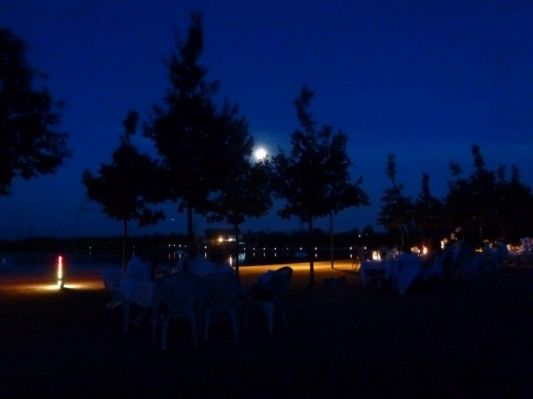 Stadtparksee im Mondlicht