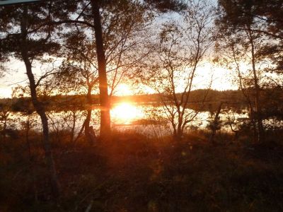 Sonnenuntergang im Moor 2.JPG