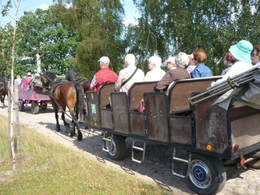 Einige von unseren Heide-Wanderern sind mit der Kutsche zurückgefahren!