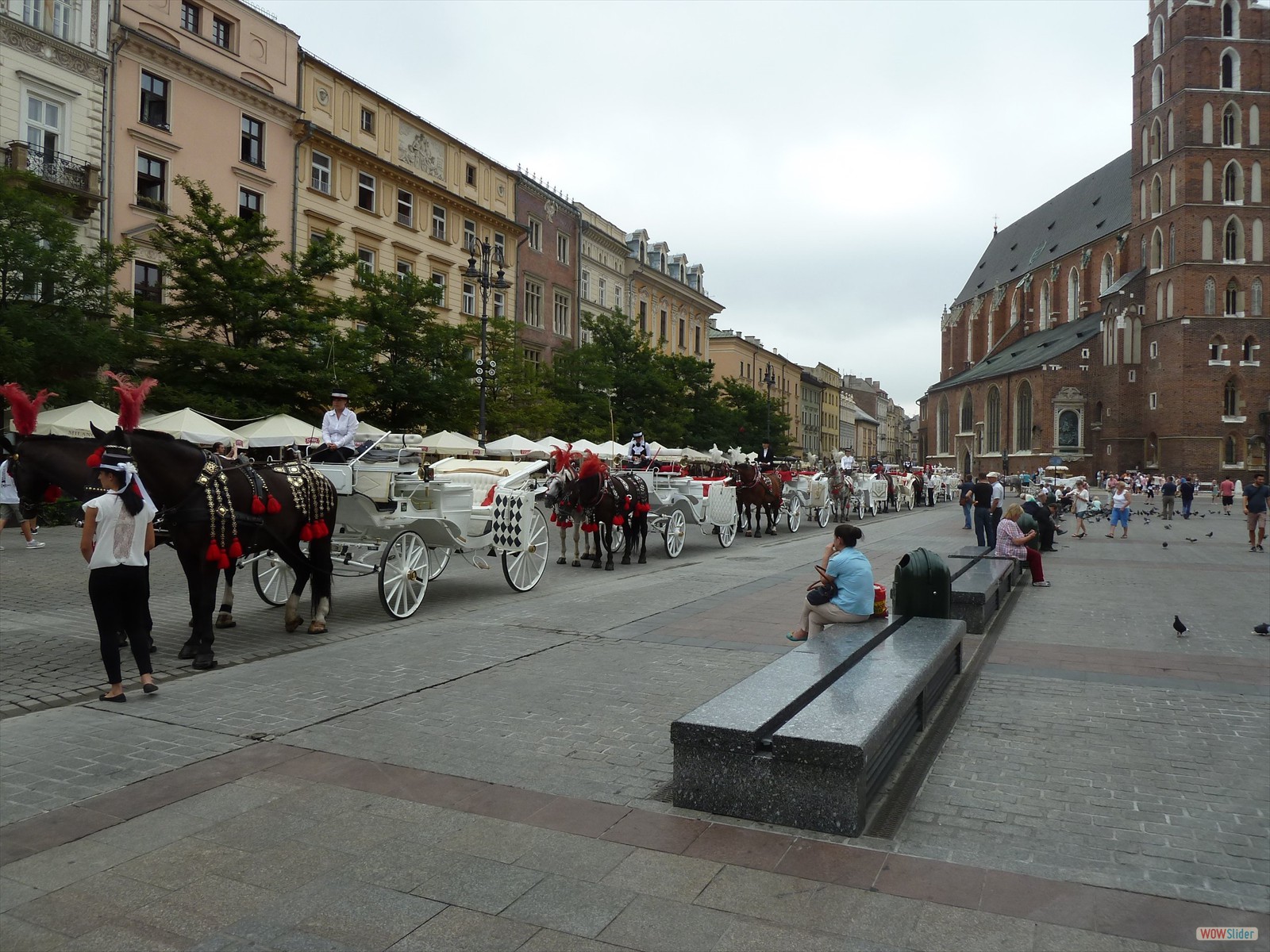37 Kutschen auf dem Markt von Krakau